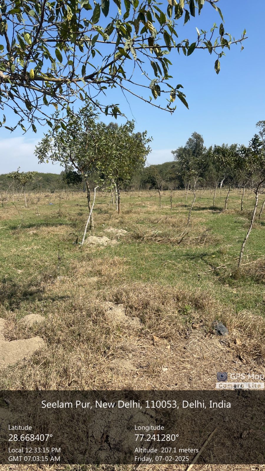 Compensatory Afforestation